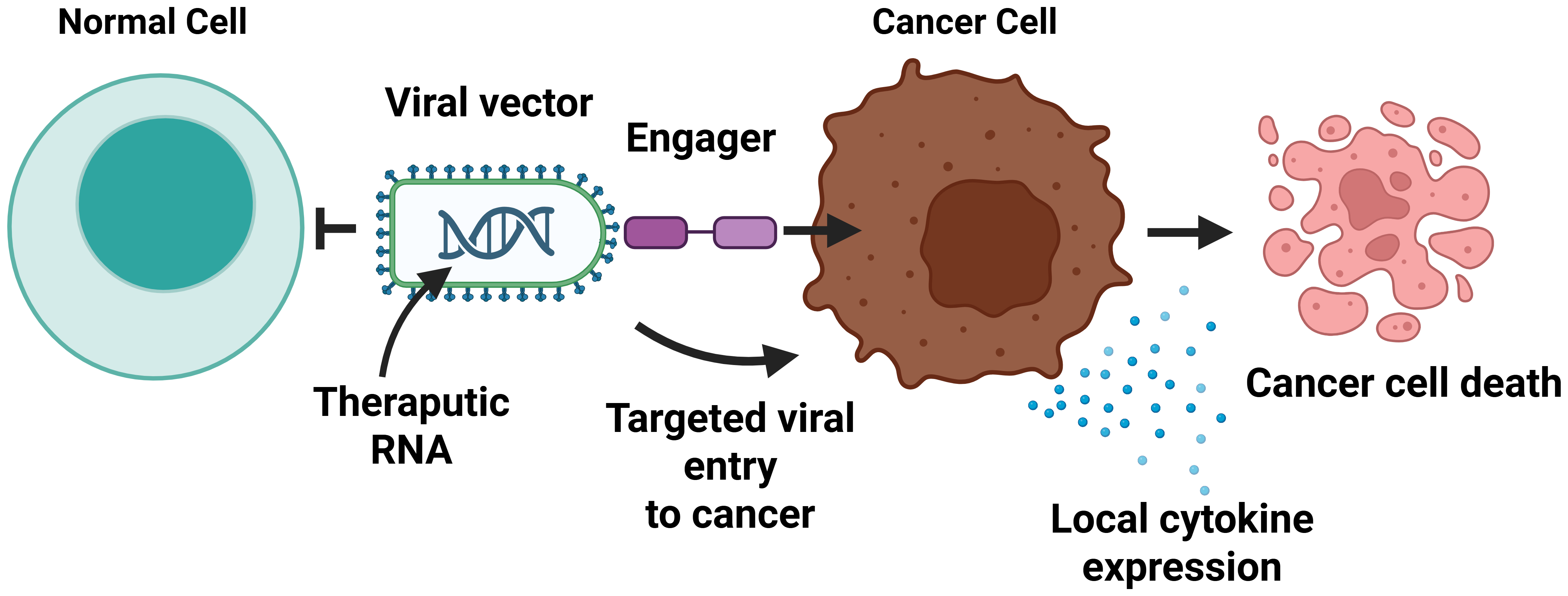 Virobix VSV-based oncolytic virus platform